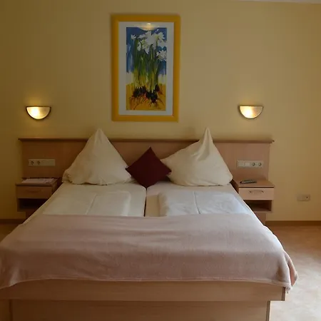 Weinhotel Platz ホテル トリーア