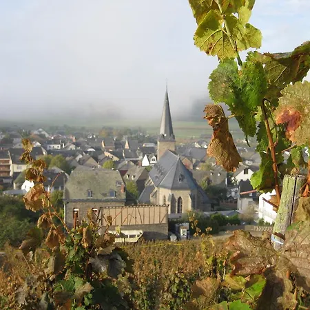 Weinhotel Platz 酒店 3*