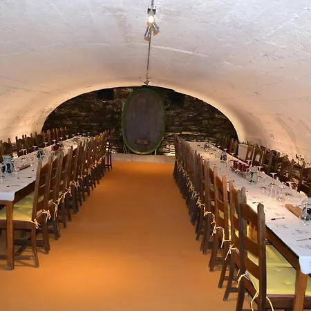 酒店 Weinhotel Platz 特里尔