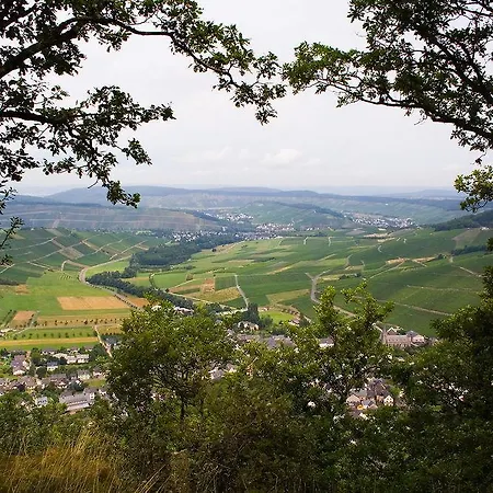 Weinhotel Platz 酒店 特里尔