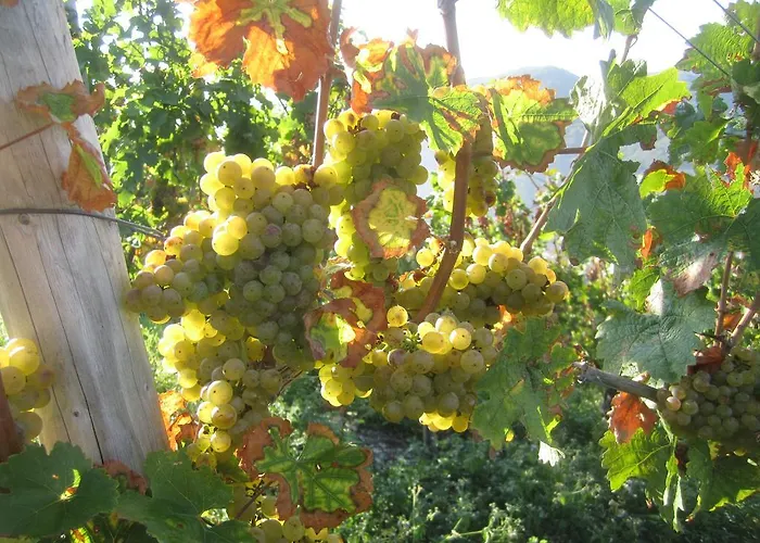 Weinhotel Platz Hotel