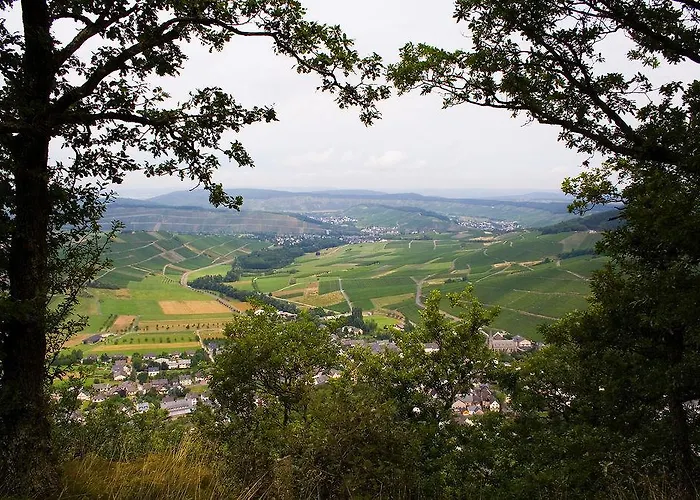 Weinhotel Platz Szálloda Trier