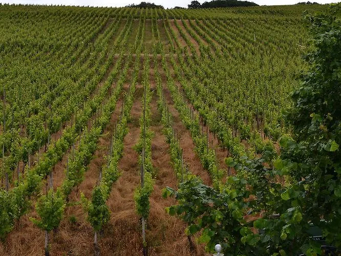 Weinhotel Platz Hotel 3*